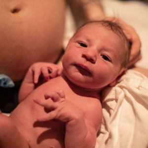 Hausgeburt - Baby nach der Geburt