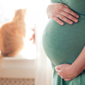 Hausgeburt: Bauch einer Schwangeren